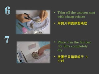 • Trim off the uneven nest 
with sharp scissor 
• 用剪刀稍微修剪燕底 
• Place it in the fan box 
for 8hrs completely 
dry. 
• 放置于风箱里晾干 8 
小时 
 