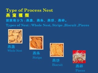 Type of Process Nest 
燕 窩 種 類 
按规格分为:燕盏、燕条、燕饼、燕碎。 
Types of Nest : Whole Nest, Strips ,Biscuit ,Pieces 
燕盏 
Whole Nest 
燕条 
Strips 
燕饼 
Biscuit 燕碎 
Pieces 
 