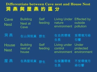 Differentiate between Cave nest and House Nest 
洞 燕 與 屋 燕 的 區 分 
Cave 
Nest 
洞 燕 
Building 
Nest at 
Cave 
在山洞筑巢 
Self 
feeding 
野生 
Living Under 
nature 
environment 
在自然環境 
生長 
Effected by 
outside 
pollution 
受環境污染 
引響 
House 
Nest 
屋 燕 
Building 
nest at 
house 
在燕屋筑巢 
Self 
feeding 
野生 
Living under 
control 
environment 
在保護環境 
生長 
Under 
protected 
environment 
不受環境污 
染引響 
 