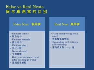 False vs Real Nests 
假 与 真 燕 窝 的 区 别 
False Nest 假燕窝 
•Uniform colour 
• 颜色均匀 
•Uniform strands 
• 燕丝均匀 
•Uniform size 
• 形状一致 
•Natural smell 
• 天然味道 
•Gritty sensation on hand 
after soaking in water 
• 浸泡后手感粗 
Real Nest 真燕窝 
•Fishy smell or egg shell 
smell 
• 带鱼腥或蛋壳味 
•Expanding to 2- 3 times 
after soaking 
• 浸泡后发涨 2 – 3 倍 
 