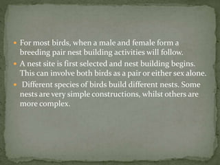  For most birds, when a male and female form a
breeding pair nest building activities will follow.
 A nest site is first selected and nest building begins.
This can involve both birds as a pair or either sex alone.
 Different species of birds build different nests. Some
nests are very simple constructions, whilst others are
more complex.
 