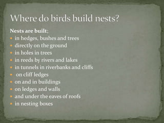 Nests are built;
 in hedges, bushes and trees
 directly on the ground
 in holes in trees
 in reeds by rivers and lakes
 in tunnels in riverbanks and cliffs
 on cliff ledges
 on and in buildings
 on ledges and walls
 and under the eaves of roofs
 in nesting boxes
 