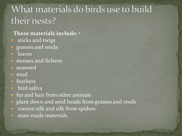 Bird nest type and nesting behaviour in birds | PPTX