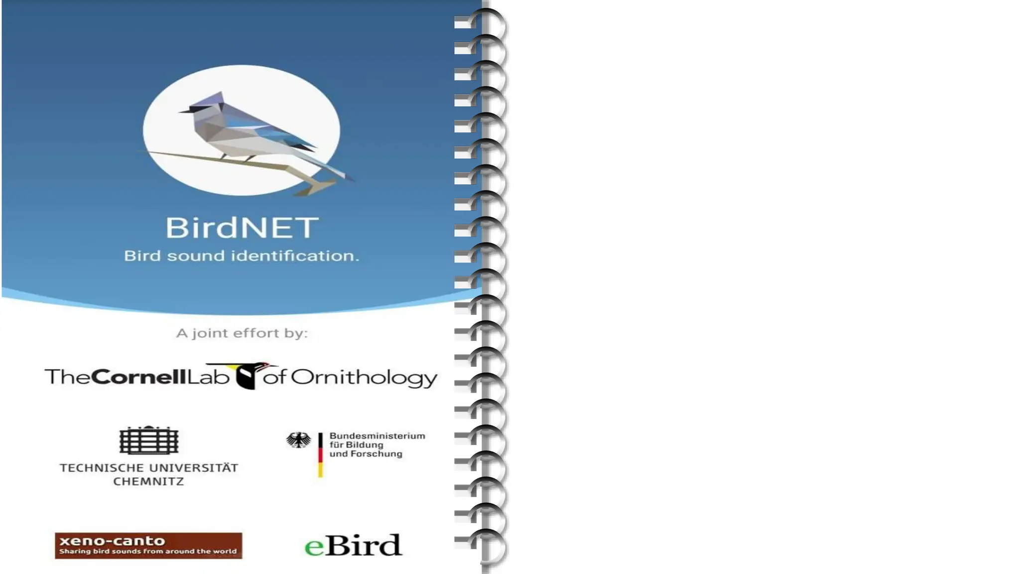 Birdnet pptx