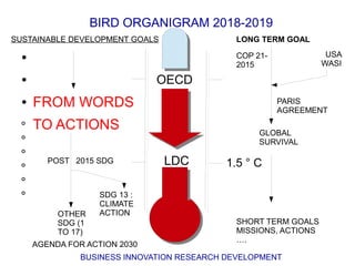 Bird organigram | ODP