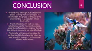 CONCLUSION
 By conducting a through study of common
birds & learning the basic principles of
identification, this project contributes to the
understanding of appreciation of local
biodiversity.
 The identification guide well serve as a
valuable resource for nature enthensiasts ,
researchers of educations , inspiring them to
take action in conserving our natural heritage.
 Additionally, raising awareness about the
significance of biodiversity conservation can
lead to positive changes in environmental
attitudes and practices.
8
 