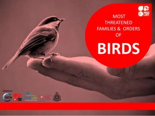 MOST
THREATENED
FAMILIES & ORDERS
OF
BIRDS
POWERED BY
 