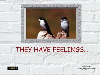 THEY HAVE FEELINGS… Victoria-M. [email_address] 