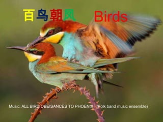 百鸟朝凤 Birds Music: ALL BIRD OBEISANCES TO PHOENIX   (Folk band music ensemble) 