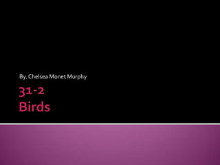 31-2Birds By. Chelsea Monet Murphy 
