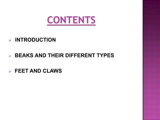   INTRODUCTION

   BEAKS AND THEIR DIFFERENT TYPES

   FEET AND CLAWS
 