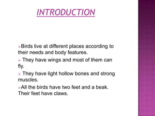 Birds  live at different places according to
their needs and body features.
 They have wings and most of them can
fly.
 They have light hollow bones and strong
muscles.
All the birds have two feet and a beak.
Their feet have claws.
 