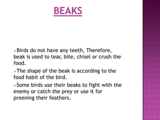 Birds do not have any teeth, Therefore,
beak is used to tear, bite, chisel or crush the
food.
The shape of the beak is according to the
food habit of the bird.
Some birds use their beaks to fight with the
enemy or catch the prey or use it for
preening their feathers.
 