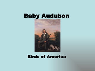Baby Audubon  Birds of America 