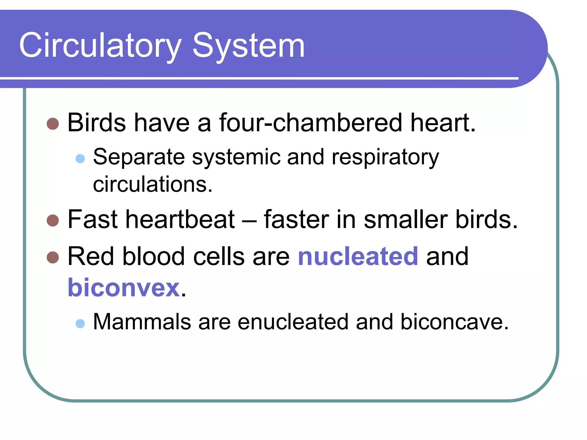 Circulatory System
 Birds have a four-chambered heart.
 Separate systemic and respiratory
circulations.
 Fast heartbeat – faster in smaller birds.
 Red blood cells are nucleated and
biconvex.
 Mammals are enucleated and biconcave.
 