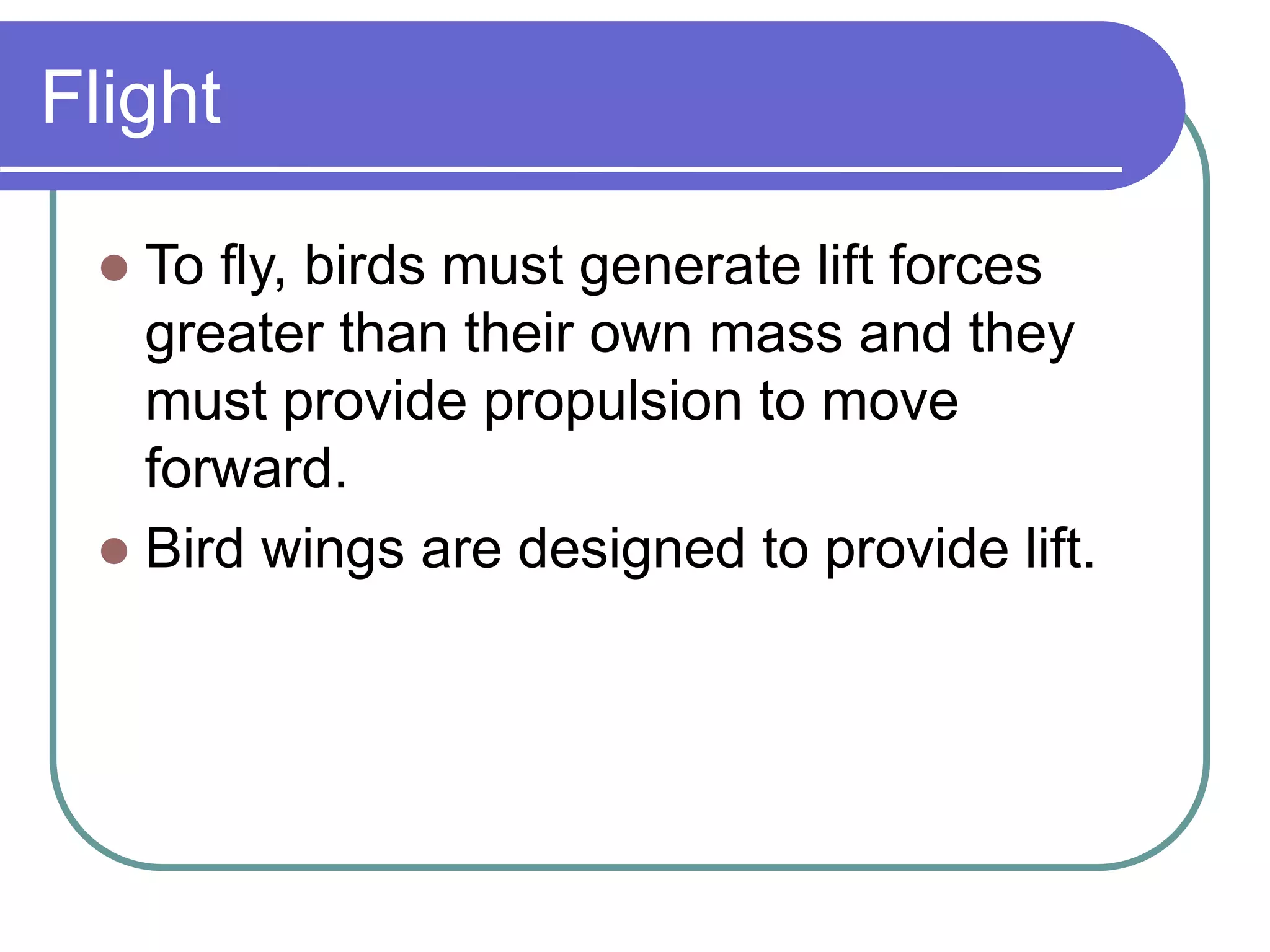 Flight
 To fly, birds must generate lift forces
greater than their own mass and they
must provide propulsion to move
forward.
 Bird wings are designed to provide lift.
 