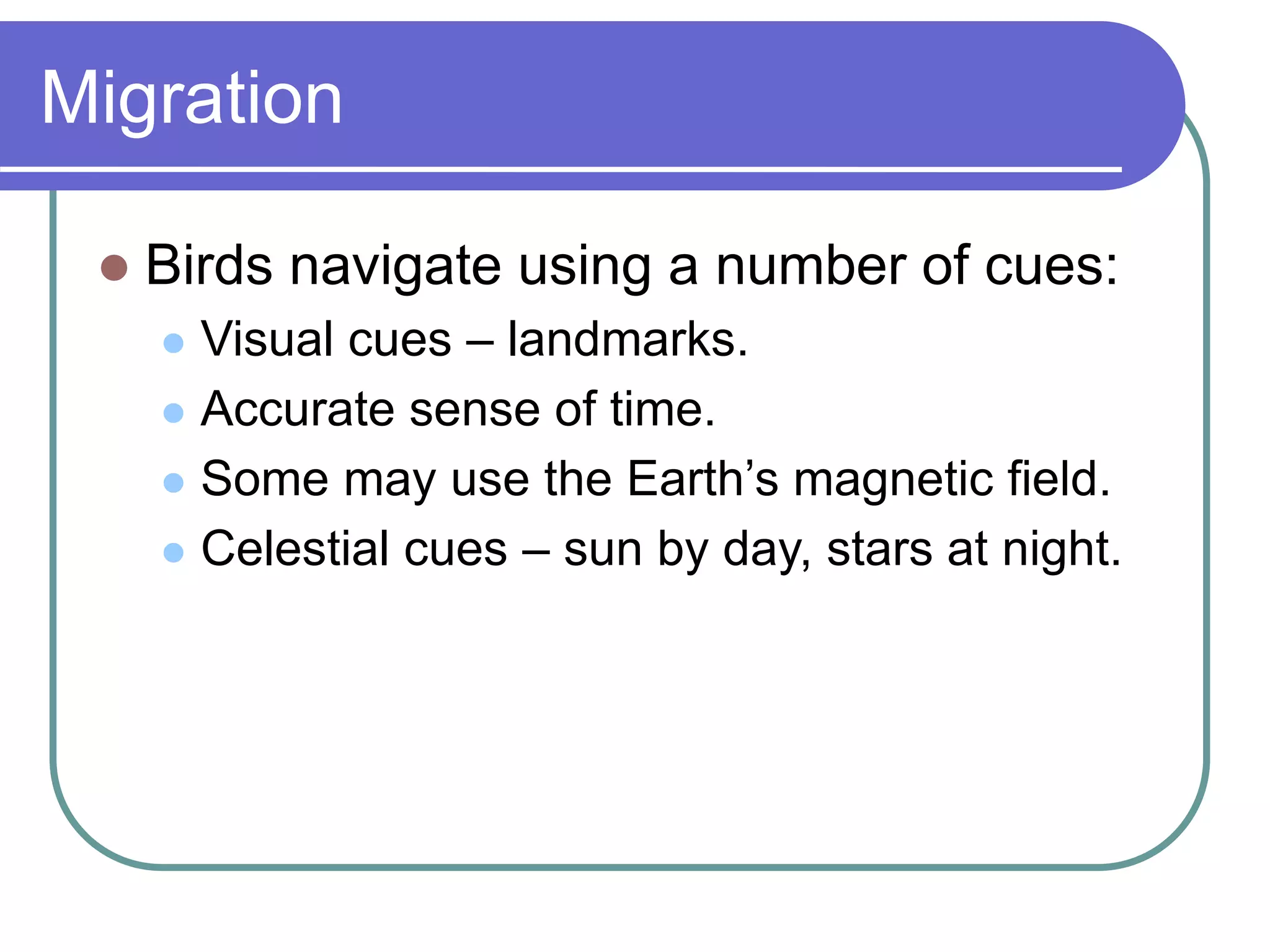 Migration
 Birds navigate using a number of cues:
 Visual cues – landmarks.
 Accurate sense of time.
 Some may use the Earth’s magnetic field.
 Celestial cues – sun by day, stars at night.
 