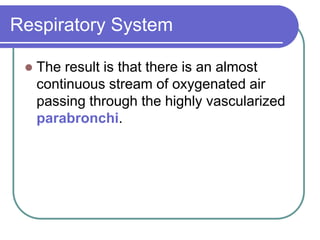 Respiratory System
 The result is that there is an almost
continuous stream of oxygenated air
passing through the highly vascularized
parabronchi.
 