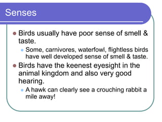 Senses
 Birds usually have poor sense of smell &
taste.
 Some, carnivores, waterfowl, flightless birds
have well developed sense of smell & taste.
 Birds have the keenest eyesight in the
animal kingdom and also very good
hearing.
 A hawk can clearly see a crouching rabbit a
mile away!
 