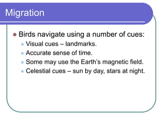 Migration
 Birds navigate using a number of cues:
 Visual cues – landmarks.
 Accurate sense of time.
 Some may use the Earth’s magnetic field.
 Celestial cues – sun by day, stars at night.
 