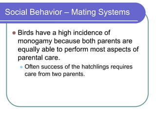 Social Behavior – Mating Systems
 Birds have a high incidence of
monogamy because both parents are
equally able to perform most aspects of
parental care.
 Often success of the hatchlings requires
care from two parents.
 