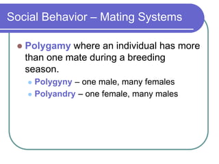 Social Behavior – Mating Systems
 Polygamy where an individual has more
than one mate during a breeding
season.
 Polygyny – one male, many females
 Polyandry – one female, many males
 