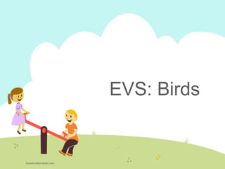 EVS: Birds
theeducationdesk.com
 