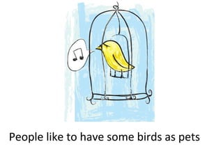 People like to have some birds as pets

 
