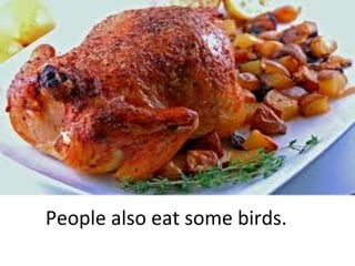 People also eat some birds.

 