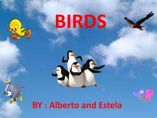 BIRDS

BY : Alberto and Estela

 