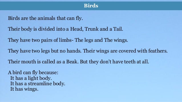short paragraph on if i were a bird
