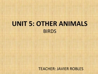 UNIT 5: OTHER ANIMALS
BIRDS
TEACHER: JAVIER ROBLES
 
