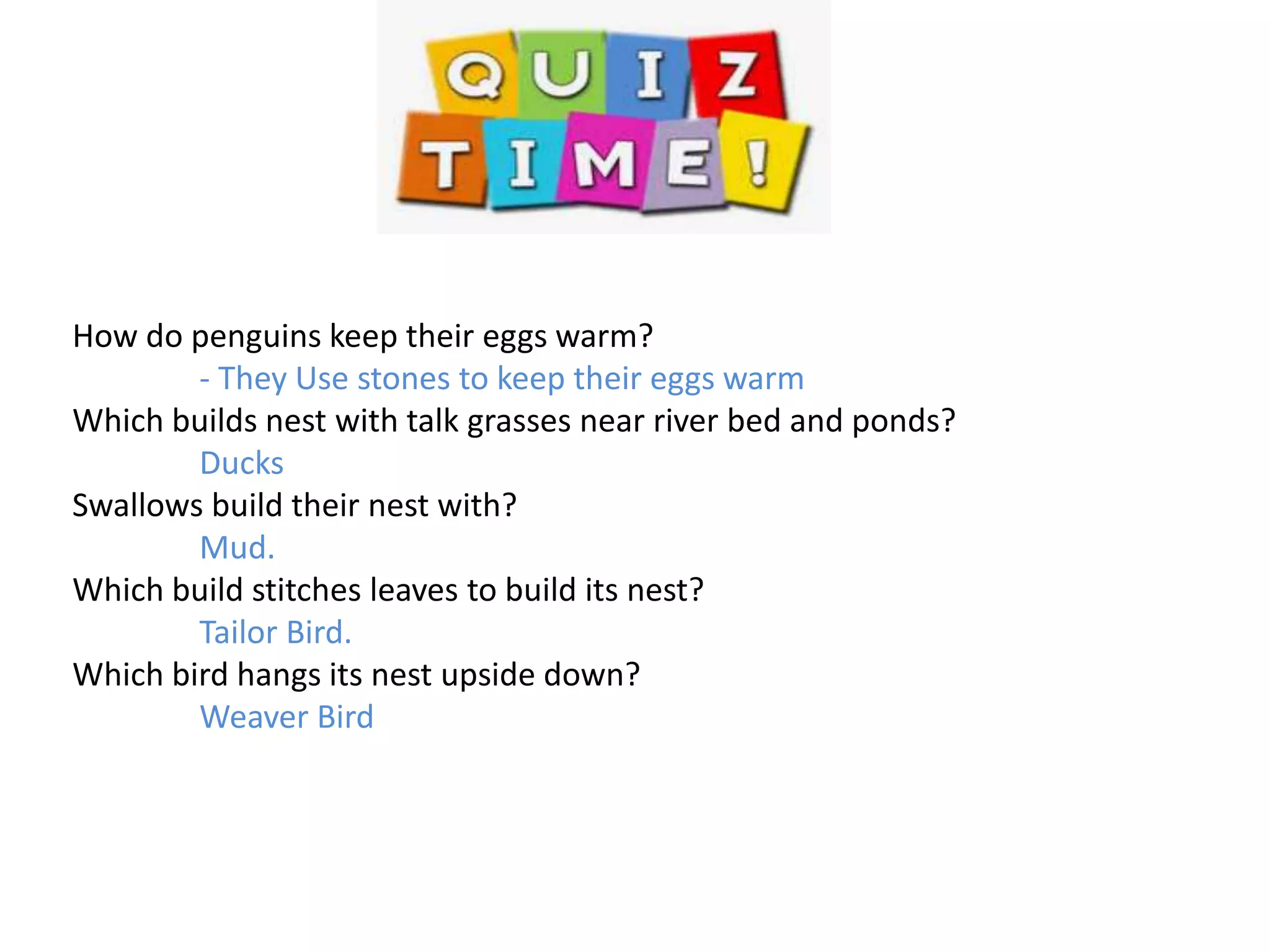 Birds, claws and Feathers | PPT