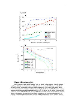 Gradient Flocking Birds | PDF