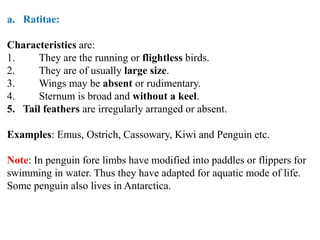 Examples Rudimentary Birds.ppt