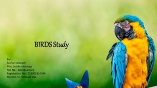 BIRD STUDY
BIRDSStudy
By-
Tushar Debnath
MSc. In Microbiology
Roll No.- 30028122022
Registration No.- 223001810496
Mentor- Dr. Smarajit Das
1
 