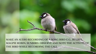 MAKE AN AUDIO RECORDING OF A SONG BIRD E.G., BULBUL,
MAGPIE ROBIN, SUNBIRD. OBSERVE AND NOTE THE ACTIVITY OF
THE BIRD WHILE RECORDING THE CALL
 