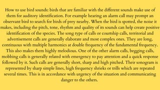 Birds sound recording | PDF