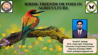 BIRDS- FRIENDS OR FOES IN
AGRICULTURE
Suresh R. Jambagi
M.Sc. (Agri) Agril. Entomology
University of Agricultural Sciences
Dharwad, Karnataka-580005
Email: jambagisuru@gmail.com
 
