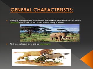 GENERAL CHARACTERISTIS:
 The highly developed nervous system and internal skeletons of vertebrates make them
adaptable to land, sea, and air. So they live in a variety of habitats.
 Most vertebrates can move and are heterotrophic.
 