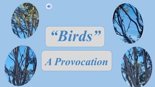 Birds provocation. EDN432 - Sustainability | PPTX
