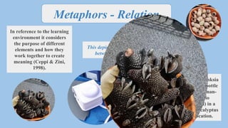 Birds provocation. EDN432 - Sustainability | PPTX