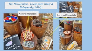 Birds provocation. EDN432 - Sustainability | PPTX