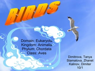 Domain: Eukaryota Kingdom: Animalia Phylum: Chordata Class: Aves Dimitrova, Tanya Stamatova, Zhanet Kalinov, Dimiter 10/1 BIRDS 
