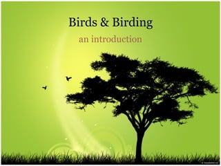 Birds & Birding
 an introduction
 