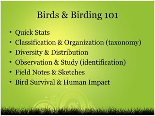 Birds 101 | PPT