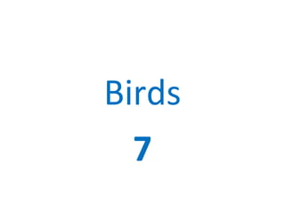 Birds
7
 