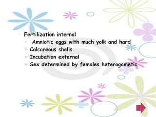 Fertilization internal
    Amniotic eggs with much yolk and hard
   Calcareous shells
   Incubation external
   Sex determined by females heterogametic
 