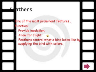Feathers

 One of the most prominent features .
 Function;
   Provide insulation.
   Allow for flight.
   Feathers control what a bird looks like by
    supplying the bird with colors.
 