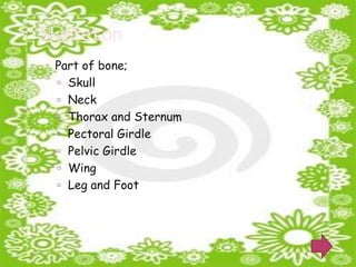 Skeleton
 Part of bone;
   Skull
   Neck
   Thorax and Sternum
   Pectoral Girdle
   Pelvic Girdle
   Wing
   Leg and Foot
 